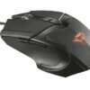 MOUSE TRUST GXT
