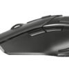 MOUSE TRUST GXT
