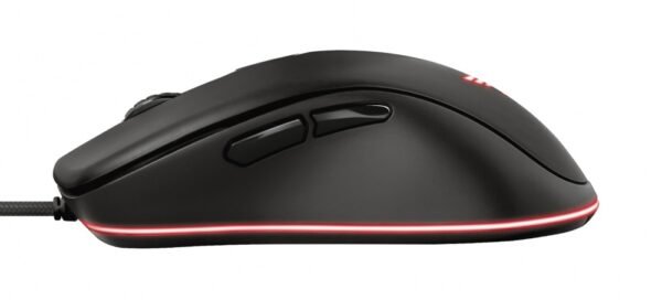 CP-TRUST-23575-4 MOUSE TRUST GXT