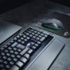 MOUSE TRUST GXT