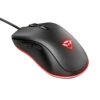 MOUSE TRUST GXT